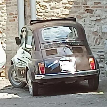 Live2love Sassoferrato