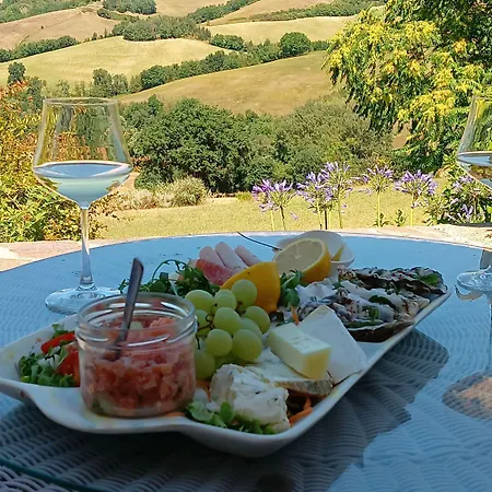 Live2love * Sassoferrato