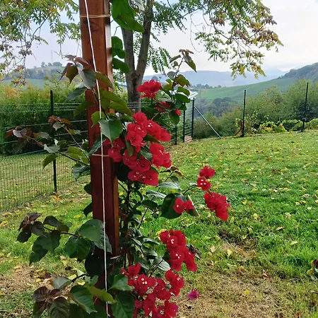 Live2love Apartamento Sassoferrato