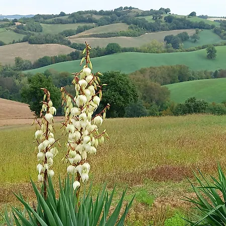 Apartamento Live2love Sassoferrato