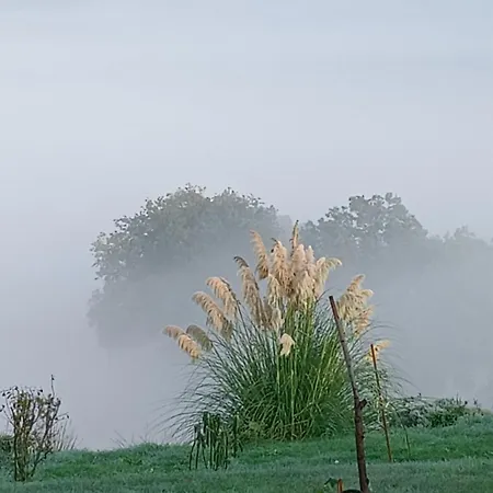 Live2love Apartamento *