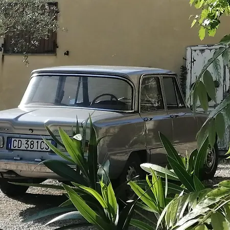 Live2love Sassoferrato